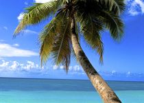 Safari Coup de coeur - Comores