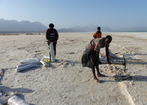 Safari Regroupé - Djibouti