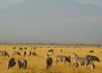 Extension  Parc national d'Aberdares - Kenya