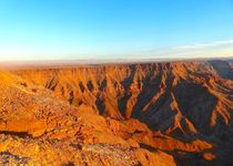 Safari regroupé - Namibie