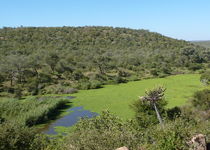 Safari Kikwit  - Afrique du sud