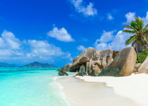 Extension Plage de sable blanc de Denis Private Island - Seychelles