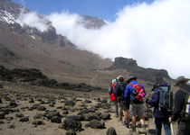 Extension Ascension du Kilimandjaro par la voie Machame - Tanzanie