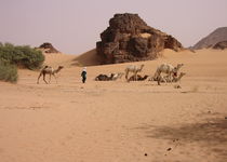Safari Coup de coeur - Algérie