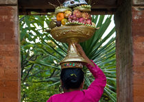 Programme Coup de Coeur - Découverte de Bali - Indonésie